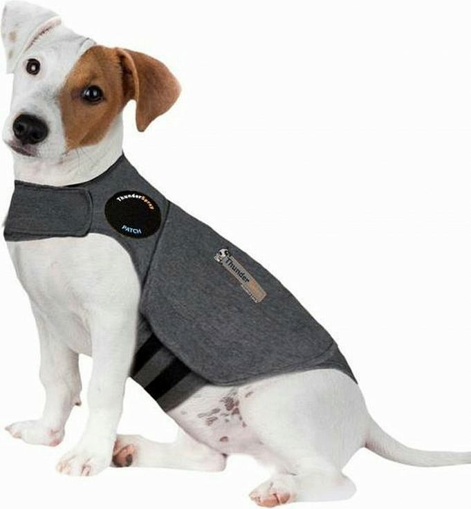 5 Beste Hondenangstvesten - ThunderShirt, AKC, DIY