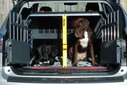 Beste hondenautobeveiliging testen
