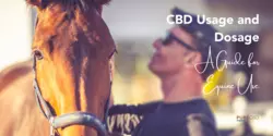 Is CBD veilig voor paarden