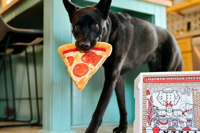 Kunnen Honden Pepperoni Eten? Voer Het Niet Aan Uw Honden!